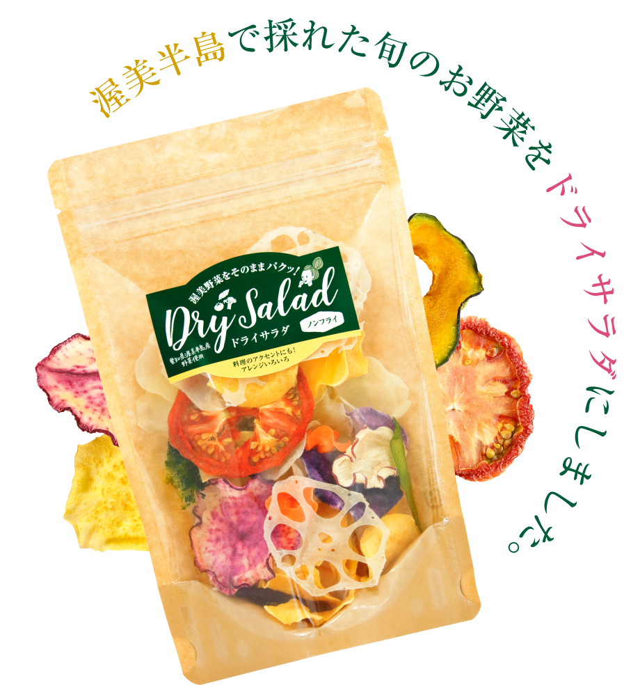 ドライサラダ Drysalad 無添加ノンフライのドライ野菜 ドライフルーツ